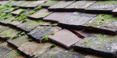 Tutbury roof repair costs